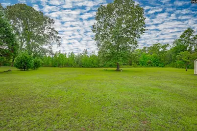 235 Sorin Circle, Elloree, SC 29047 - Photo 48