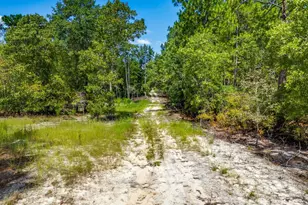 1549 Lawhorn Rd, Cassatt, SC 29032 - Photo 1