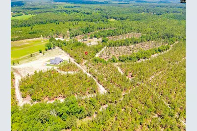 1549 Lawhorn Road #6, Cassatt, SC 29032 - Photo 6
