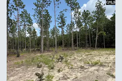 1549 Lawhorn Road #8, Cassatt, SC 29032 - Photo 2