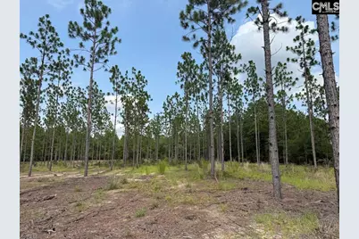1549 Lawhorn Road #8, Cassatt, SC 29032 - Photo 22
