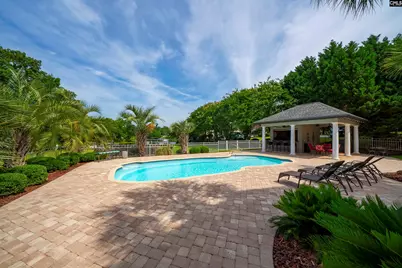 226 Forty Love Point, Chapin, SC 29036 - Photo 66