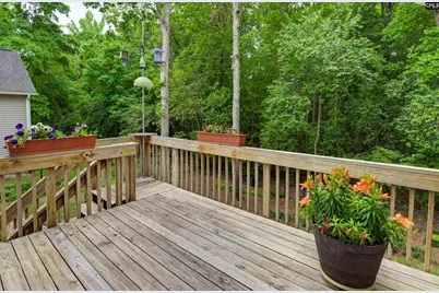 412 Ivy Green Lane, Lexington, SC 29072 - Photo 44