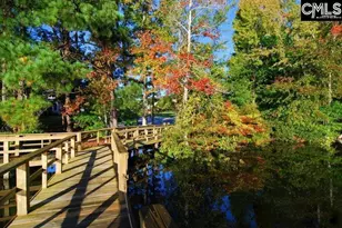 103 Cabot Bay Dr, Chapin, SC 29036 - Photo 48