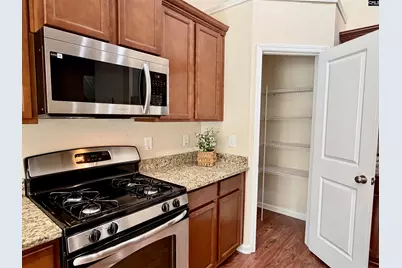 328 Baneberry Loop, Lexington, SC 29073 - Photo 8