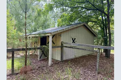 80 Swampy Creek Road, Cassatt, SC 29032 - Photo 4