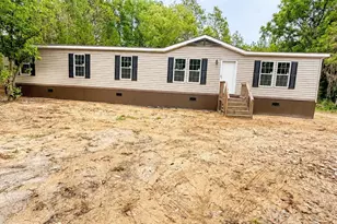 103 New Hope Church Rd, Pelion, SC 29123 - Photo 2