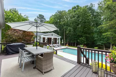 228 Shady Acres Drive, Chapin, SC 29036 - Photo 44