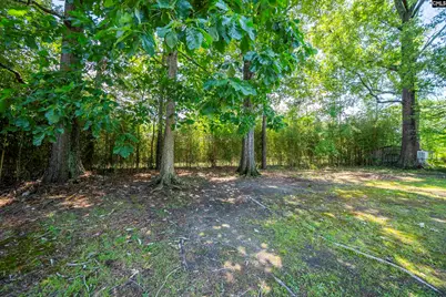2126 Woodtrail Drive, Columbia, SC 29210 - Photo 30