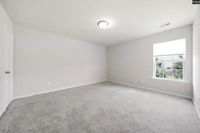 384 Explorer Drive, Chapin, SC 29036 - Photo 18