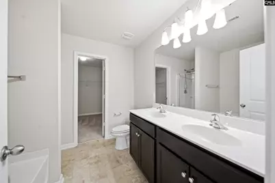 384 Explorer Drive, Chapin, SC 29036 - Photo 16
