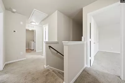 384 Explorer Drive, Chapin, SC 29036 - Photo 14