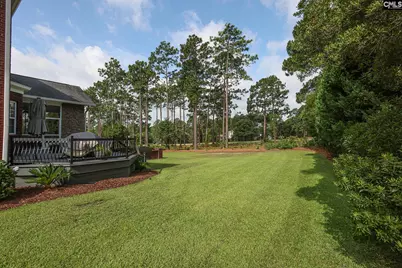 319 Bluestem Drive, Elgin, SC 29045 - Photo 12