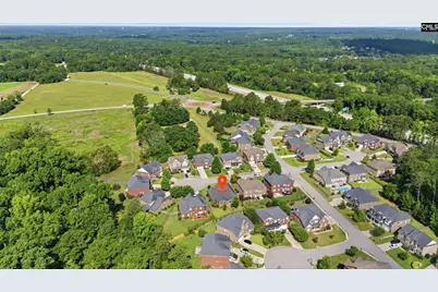 309 Honey Tree Drive, Lexington, SC 29073 - Photo 34