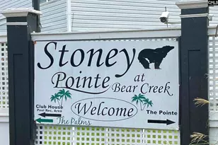 229 Stoney Pointe Dr, Chapin, SC 29036 - Photo 22
