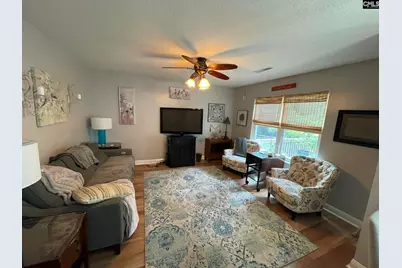 229 Stoney Pointe Drive, Chapin, SC 29036 - Photo 4