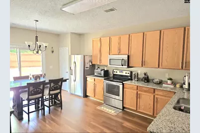 237 Wild Olive Drive, Columbia, SC 29229 - Photo 14