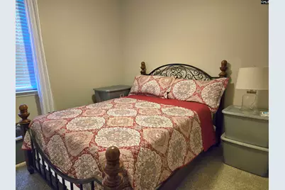 237 Wild Olive Drive, Columbia, SC 29229 - Photo 20
