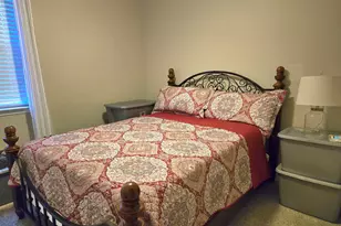 237 Wild Olive Dr, Columbia, SC 29229 - Photo 20
