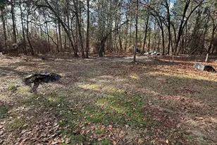 1225 Charles Town Rd, Leesville, SC 29070 - Photo 4