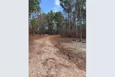 1225 Charles Town Road, Leesville, SC 29070 - Photo 6