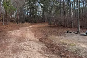 1225 Charles Town Rd, Leesville, SC 29070 - Photo 6