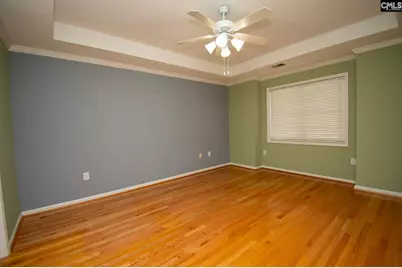 14 Rose Haven Lane, Blythewood, SC 29016 - Photo 4