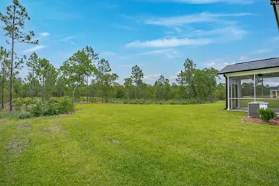 656 Old Charleston Road, Pelion, SC 29123 - Photo 48