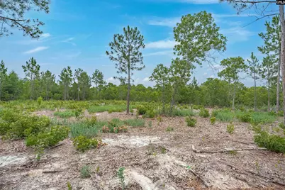 656 Old Charleston Road, Pelion, SC 29123 - Photo 46
