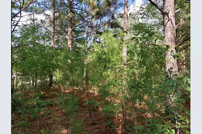 408 Sells Court, Pelion, SC 29123 - Photo 4