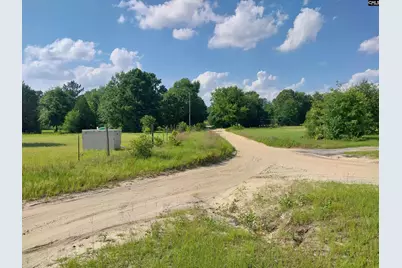 408 Sells Court, Pelion, SC 29123 - Photo 2