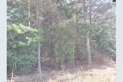 408 Sells Court, Pelion, SC 29123 - Photo 1