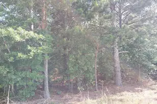 408 Sells Ct, Pelion, SC 29123 - Photo 1