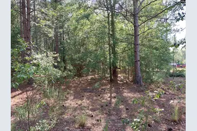 408 Sells Court, Pelion, SC 29123 - Photo 6