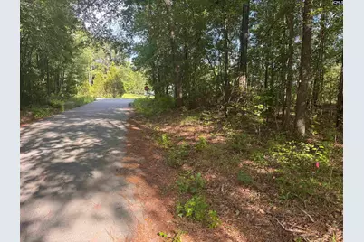 209 Ted Street, Columbia, SC 29203 - Photo 4