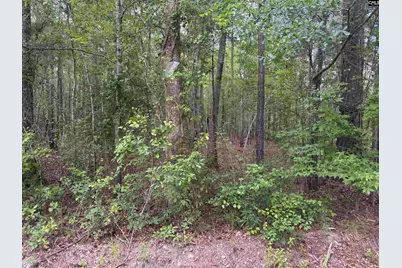 209 Ted Street, Columbia, SC 29203 - Photo 8