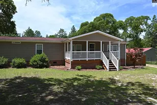 209 Ann St, Pelion, SC 29123 - Photo 6