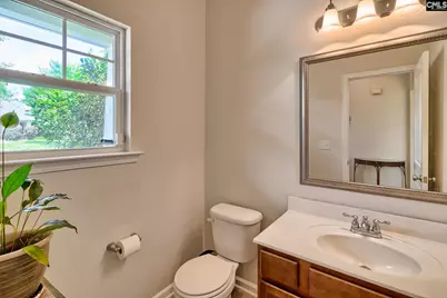 453 Crawley Lane, Chapin, SC 29036 - Photo 6