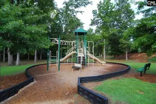 453 Crawley Ln, Chapin, SC 29036 - Photo 40