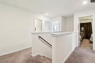 247 Chetsley Dr, Lexington, SC 29073 - Photo 10