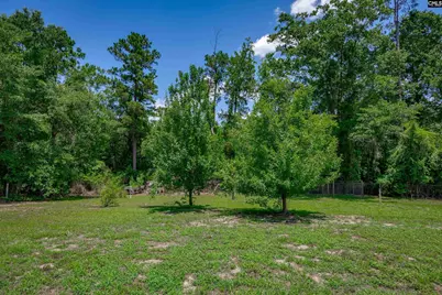 320 Kellly Mill Road, Elgin, SC 29045 - Photo 38