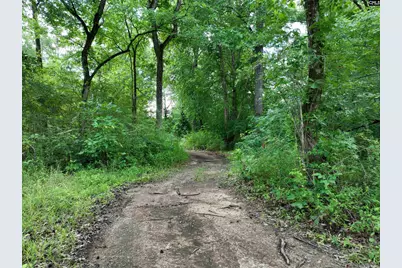 0 Rocky Branch Road, Chapin, SC 29036 - Photo 4