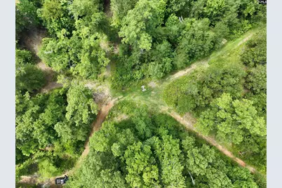 0 Rocky Branch Road, Chapin, SC 29036 - Photo 24
