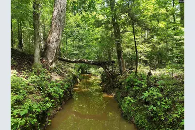 0 Rocky Branch Road, Chapin, SC 29036 - Photo 8