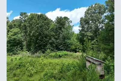 0 Rocky Branch Road, Chapin, SC 29036 - Photo 12