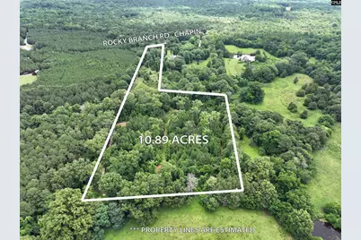 0 Rocky Branch Road, Chapin, SC 29036 - Photo 1