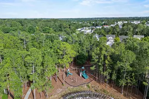 182 Palmetto Park Cir, Columbia, SC 29229 - Photo 36
