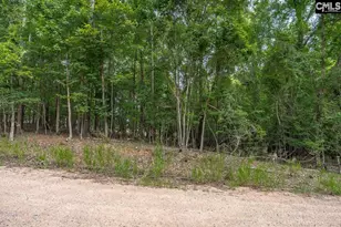 1600 Wildwood Cove Rd, Leesville, SC 29006 - Photo 18
