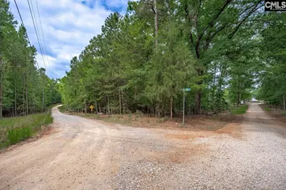 1600 Wildwood Cove Road, Leesville, SC 29006 - Photo 16