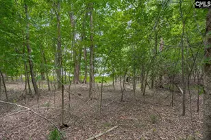 1600 Wildwood Cove Rd, Leesville, SC 29006 - Photo 14